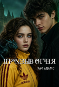 Обложка книги "призыв огня "