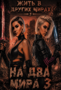Обложка книги "На два мира 3"