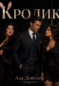 Обложка книги "Кролик"