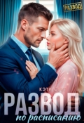 Обложка книги "Развод по расписанию"