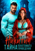 Обложка книги "Никитич. Тайна похотливого приведения."