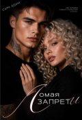 Обложка книги "Ломая запреты"
