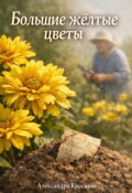 Обложка книги "Большие жёлтые цветы"