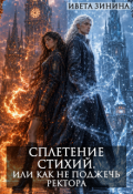 Обложка книги "Сплетение стихий. Или как не поджечь ректора"