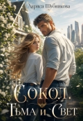 Обложка книги "Сокол. Тьма и Свет"