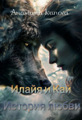 Обложка книги "Илайя и Кай"