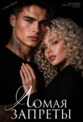 Обложка книги "Ломая запреты"