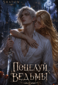 Обложка книги "Поцелуй ведьмы"