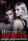 Обложка книги "Игрушка мажора. Теперь расплачивайся"