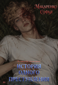 Обложка книги "История одного преступления"
