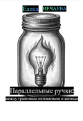 Обложка книги "Параллельные ручки: между грантовым оптимизмом и жизнью"