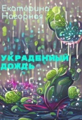 Обложка книги "Украденный дождь"