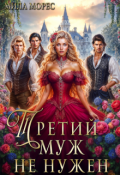 Обложка книги "Третий муж не нужен"