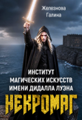Обложка книги "Институт магических искусств имени Дидалла Луэна. Некромаг"