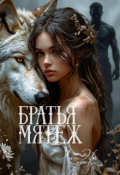 Обложка книги "Братья Мятеж"