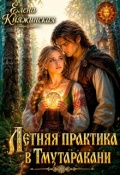 Обложка книги "Летняя практика в Тмутаракани"
