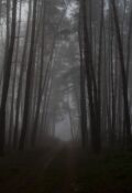 Обложка книги "Домик у Черного ручья. Бредовая история ужасов."