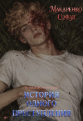 Обложка книги "История одного преступления"