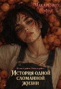 Обложка книги "История одной сломанной жизни"