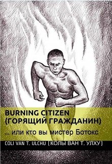 Обложка книги "Горящий Гражданин или кто вы, мистер Ботокс"