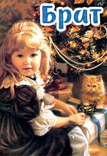Обложка книги "Брат"