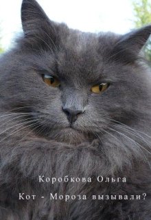 Обложка книги "Кот-Мороза вызывали?"