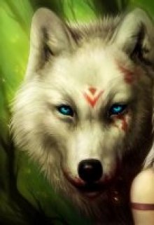 Обложка книги "Жажда к свободе"