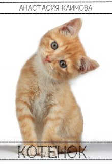 Обложка книги "Котенок"