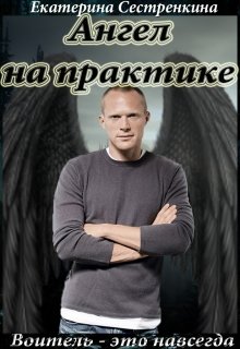 Обложка книги "Ангел на практике"