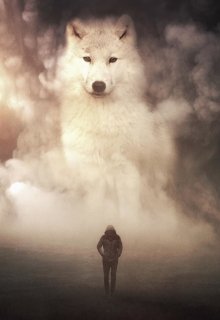 Обложка книги "Новое Сердце"