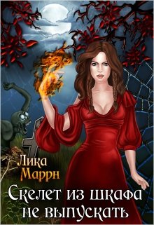 Обложка книги "Скелет из шкафа не выпускать"