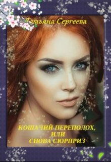 Обложка книги "Кошачий переполох, или снова сюрприз"