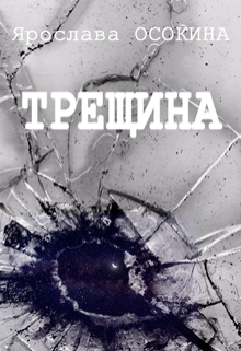 Обложка книги "Трещина"