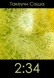 Обложка книги "2:34"