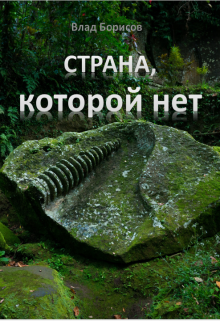 Обложка книги "Страна, которой нет"