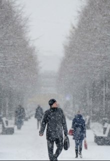 Обложка книги "Полимеры"