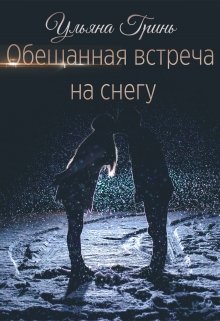 Обложка книги "Обещанная встреча на снегу"
