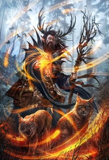 Обложка книги "Друид. Испытание"