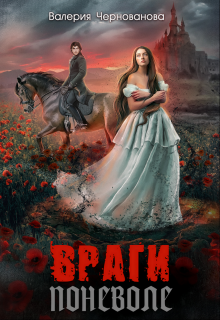 Обложка книги "Враги поневоле"