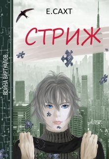 Обложка книги "Стриж"