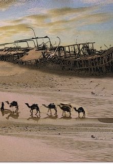 Обложка книги "Золотые львы в каменной пустыне"