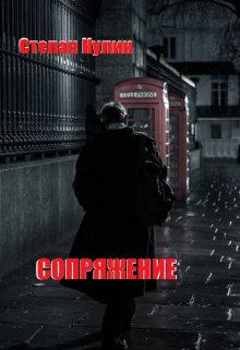Обложка книги "Сопряжение"