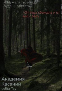 Обложка книги "Академия Касаний. "